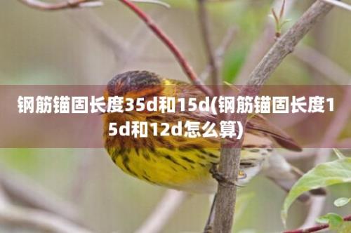 钢筋锚固长度35d和15d(钢筋锚固长度15d和12d怎么算)