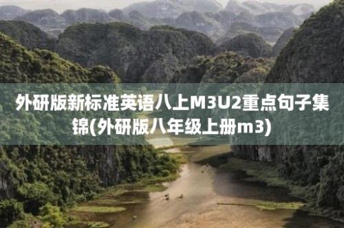 外研版新标准英语八上M3U2重点句子集锦(外研版八年级上册m3)