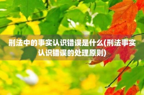 刑法中的事实认识错误是什么(刑法事实认识错误的处理原则)