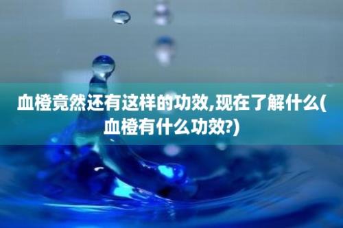 血橙竟然还有这样的功效,现在了解什么(血橙有什么功效?)