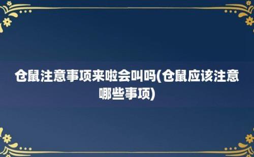 仓鼠注意事项来啦会叫吗(仓鼠应该注意哪些事项)