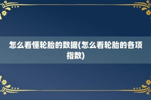 怎么看懂轮胎的数据(怎么看轮胎的各项指数)