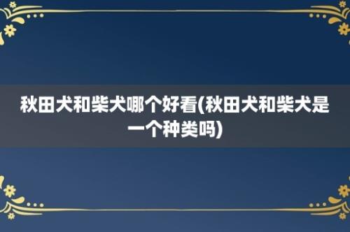 秋田犬和柴犬哪个好看(秋田犬和柴犬是一个种类吗)