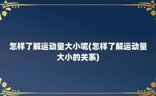 怎样了解运动量大小呢(怎样了解运动量大小的关系)