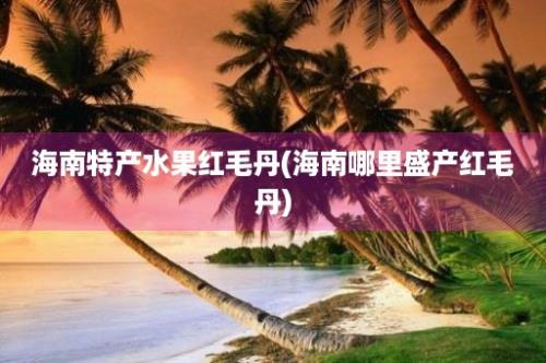 海南特产水果红毛丹(海南哪里盛产红毛丹)