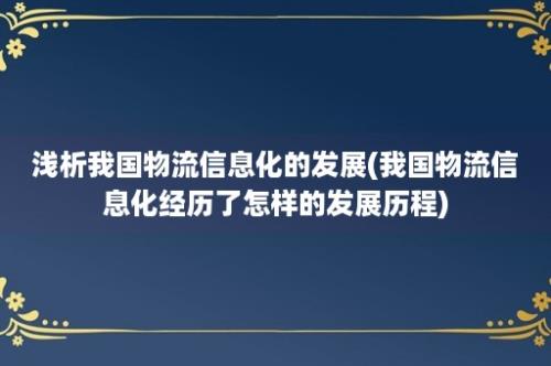 浅析我国物流信息化的发展(我国物流信息化经历了怎样的发展历程)