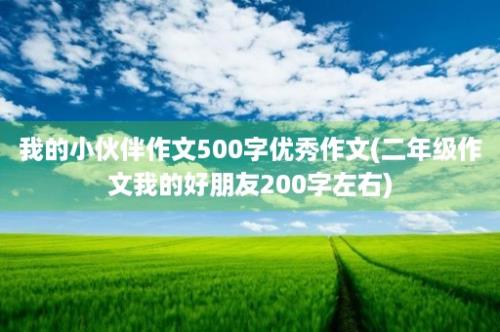 我的小伙伴作文500字优秀作文(二年级作文我的好朋友200字左右)