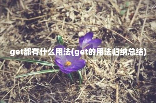 get都有什么用法(get的用法归纳总结)