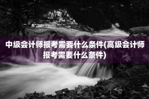 中级会计师报考需要什么条件(高级会计师报考需要什么条件)