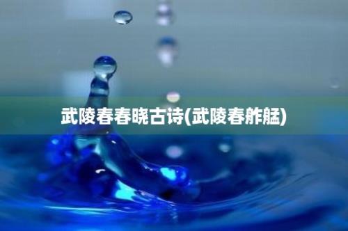 武陵春春晓古诗(武陵春舴艋)