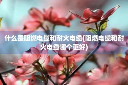 什么是阻燃电缆和耐火电缆(阻燃电缆和耐火电缆哪个更好)