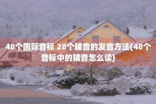 48个国际音标 28个辅音的发音方法(48个音标中的辅音怎么读)