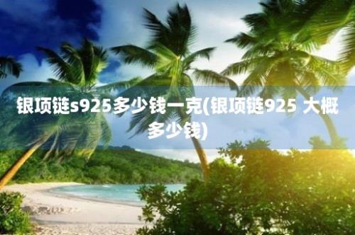 银项链s925多少钱一克(银项链925 大概多少钱)