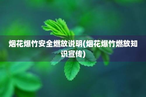 烟花爆竹安全燃放说明(烟花爆竹燃放知识宣传)