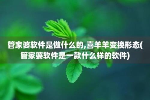 管家婆软件是做什么的,喜羊羊变换形态(管家婆软件是一款什么样的软件)