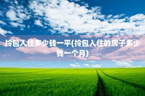 拎包入住多少钱一平(拎包入住的房子多少钱一个月)