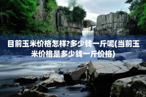 目前玉米价格怎样?多少钱一斤呢(当前玉米价格是多少钱一斤价格)