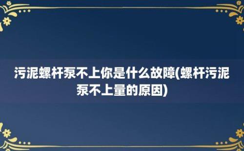 污泥螺杆泵不上你是什么故障(螺杆污泥泵不上量的原因)