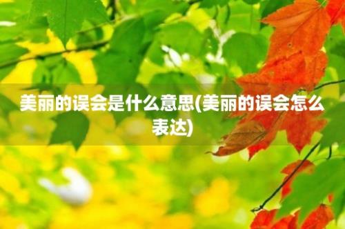 美丽的误会是什么意思(美丽的误会怎么表达)