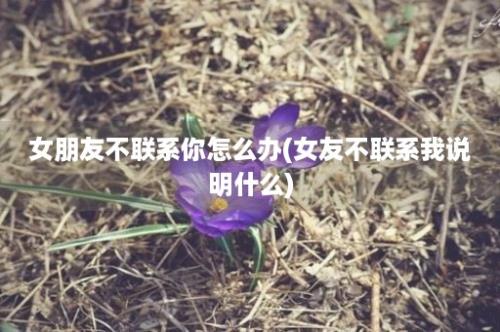 女朋友不联系你怎么办(女友不联系我说明什么)