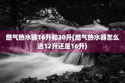 燃气热水器16升和20升(燃气热水器怎么选12升还是16升)