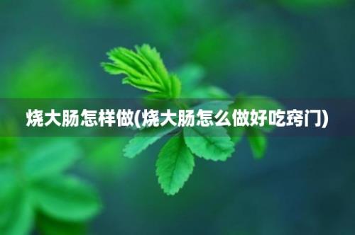 烧大肠怎样做(烧大肠怎么做好吃窍门)