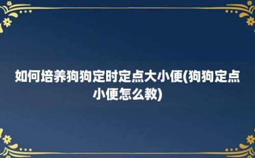 如何培养狗狗定时定点大小便(狗狗定点小便怎么教)