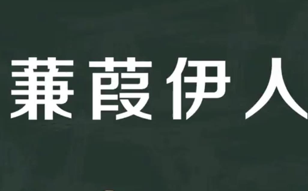 蒹葭伊人是什么意思