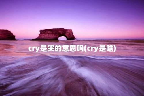 cry是哭的意思吗(cry是啥)