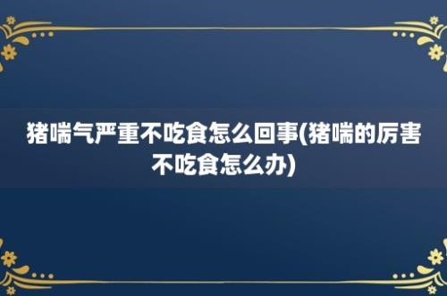 猪喘气严重不吃食怎么回事(猪喘的厉害不吃食怎么办)