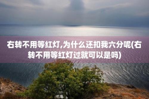 右转不用等红灯,为什么还扣我六分呢(右转不用等红灯过就可以是吗)