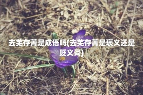 去芜存菁是成语吗(去芜存菁是褒义还是贬义词)