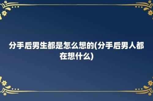 分手后男生都是怎么想的(分手后男人都在想什么)