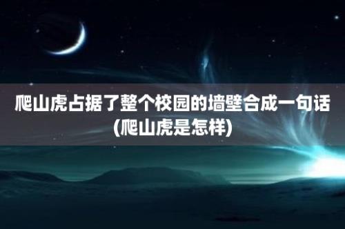 爬山虎占据了整个校园的墙壁合成一句话(爬山虎是怎样)