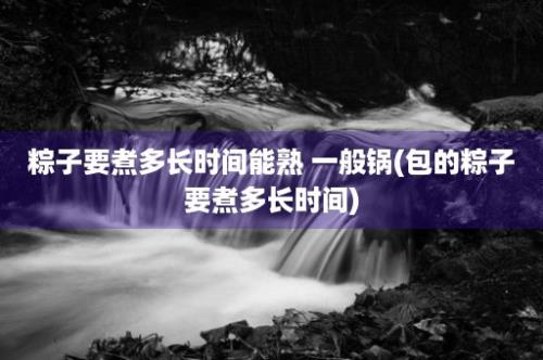 粽子要煮多长时间能熟 一般锅(包的粽子要煮多长时间)