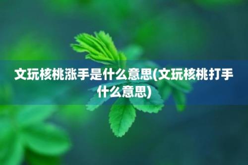 文玩核桃涨手是什么意思(文玩核桃打手什么意思)