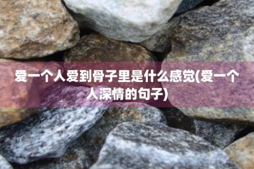 爱一个人爱到骨子里是什么感觉(爱一个人深情的句子)