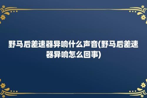 野马后差速器异响什么声音(野马后差速器异响怎么回事)