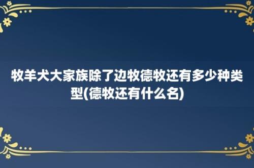 牧羊犬大家族除了边牧德牧还有多少种类型(德牧还有什么名)