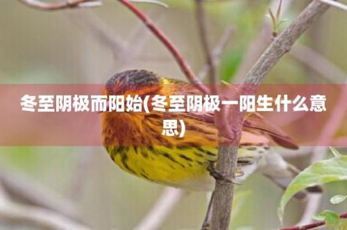 冬至阴极而阳始(冬至阴极一阳生什么意思)