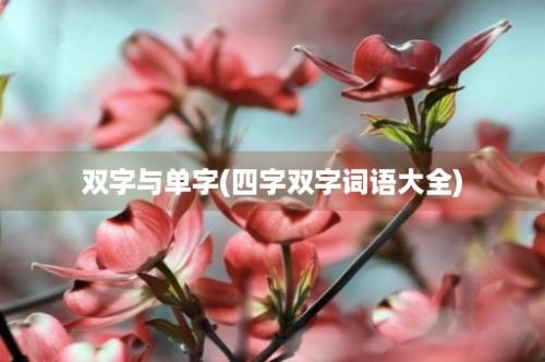 双字与单字(四字双字词语大全)