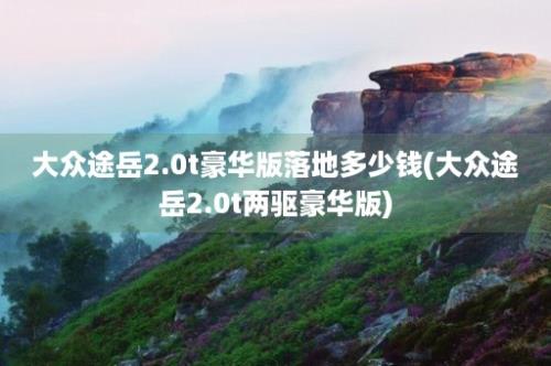 大众途岳2.0t豪华版落地多少钱(大众途岳2.0t两驱豪华版)