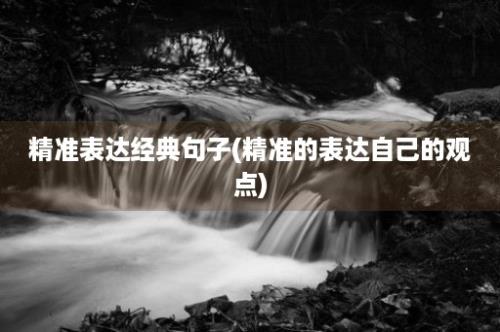 精准表达经典句子(精准的表达自己的观点)