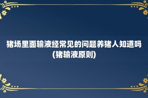 猪场里面输液经常见的问题养猪人知道吗(猪输液原则)