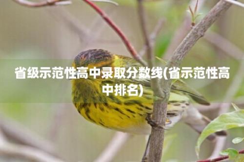 省级示范性高中录取分数线(省示范性高中排名)