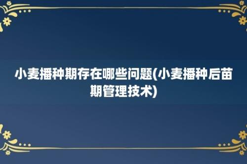 小麦播种期存在哪些问题(小麦播种后苗期管理技术)