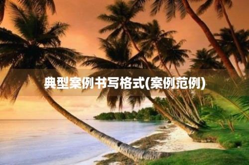 典型案例书写格式(案例范例)