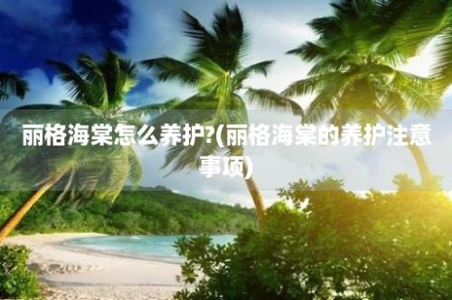 丽格海棠怎么养护?(丽格海棠的养护注意事项)