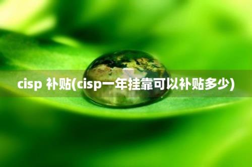 cisp 补贴(cisp一年挂靠可以补贴多少)