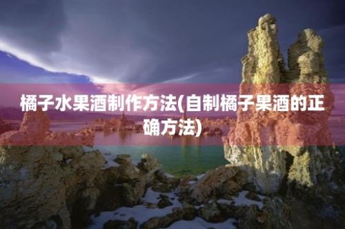 橘子水果酒制作方法(自制橘子果酒的正确方法)